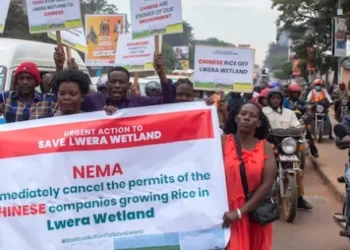 Inside the fight for Lwera: Activists confront NEMA!