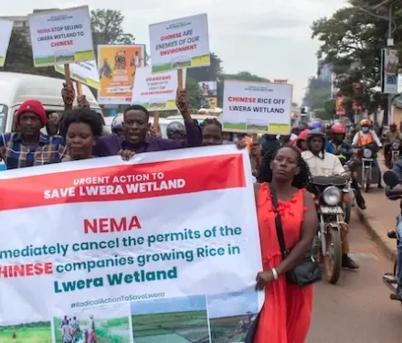 Inside the fight for Lwera: Activists confront NEMA!