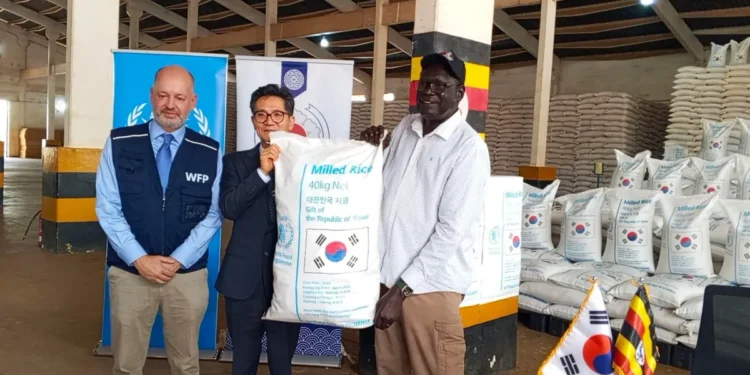 Korea Donates 2,500 Tons of Rice to Support Refugees and Schoolchildren in Uganda!