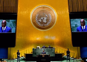 DRC, Liberia among 5 new non-permanent UN Security Council members!