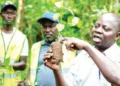 NFA Steps Up Campaign to save Namananga Forest through Tree Planting