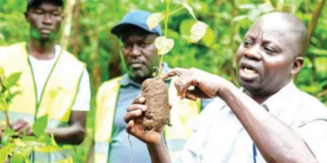 NFA Steps Up Campaign to save Namananga Forest through Tree Planting