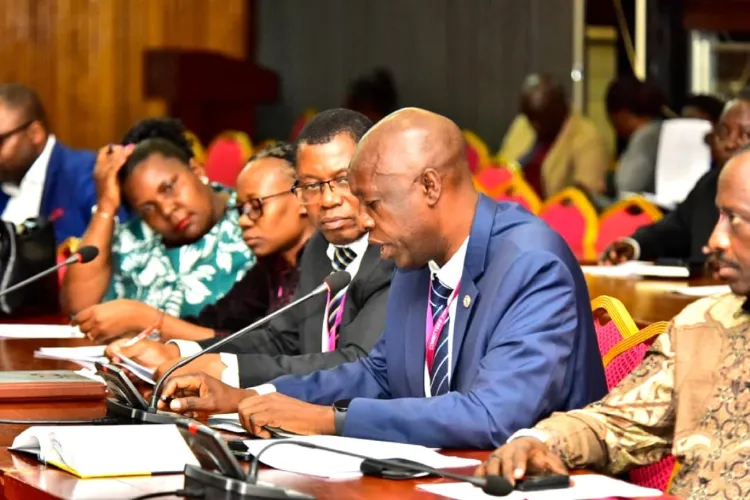 Accountants’ Body Urges Parliament to Delete Tax on Non-Business Assets